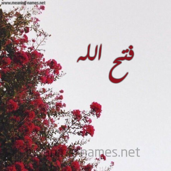 شكل 18 صوره الورد الأحمر للإسم بخط رقعة صورة اسم فتح الله Fath-Allah